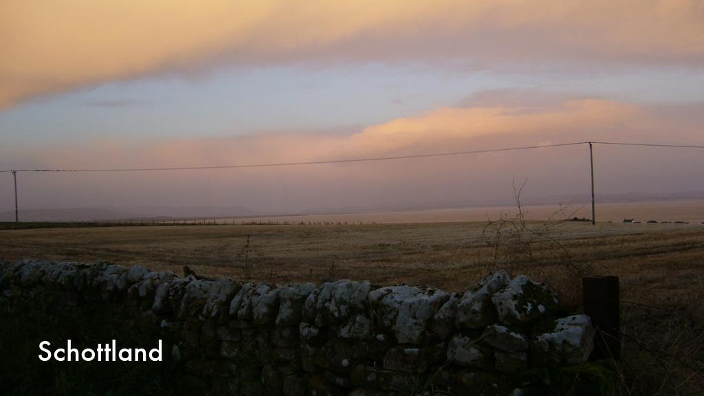 Cover image of the project ANNE PERRY - Interiors