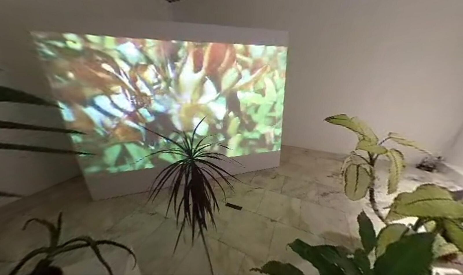 Gallery image of the project Svan/Nectar 