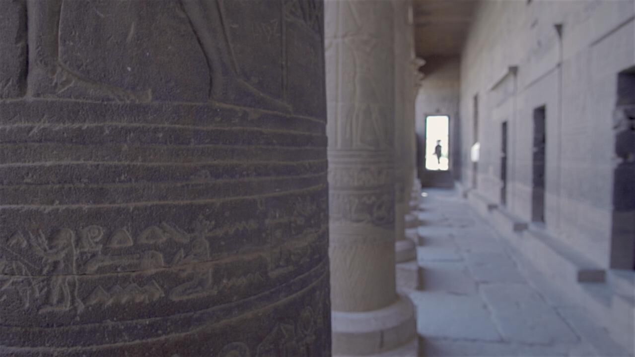 Cover image of the project „I am not. I b e „