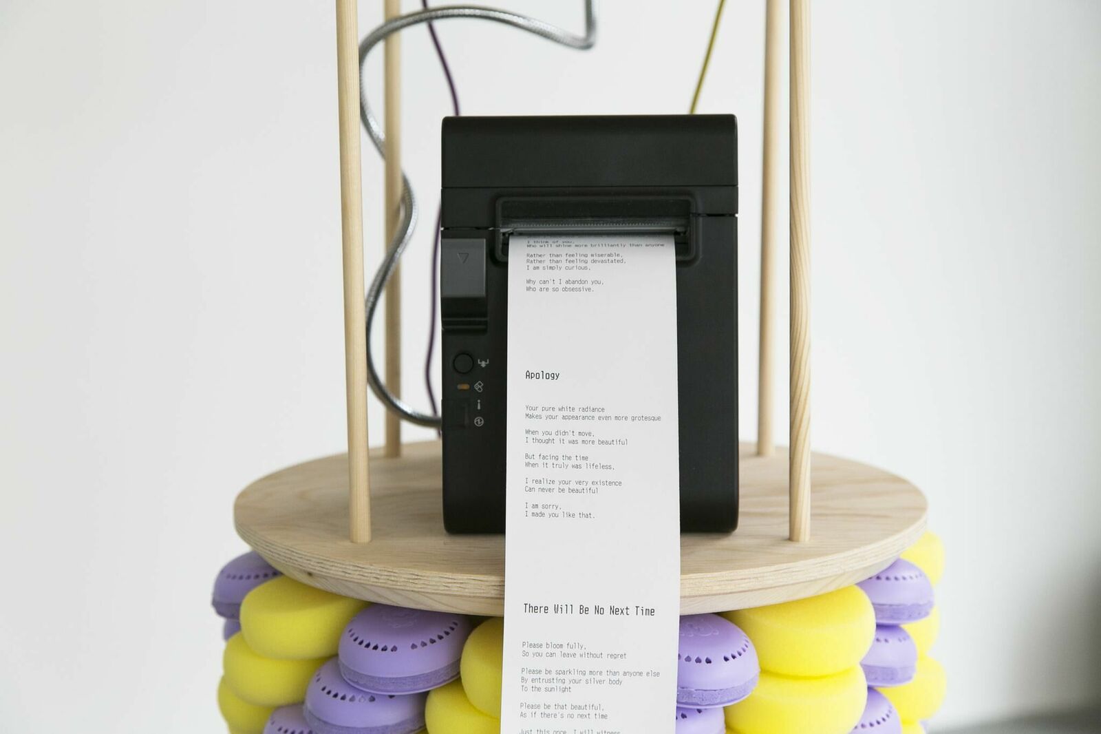 Gallery image of the project You bug me and I bug you