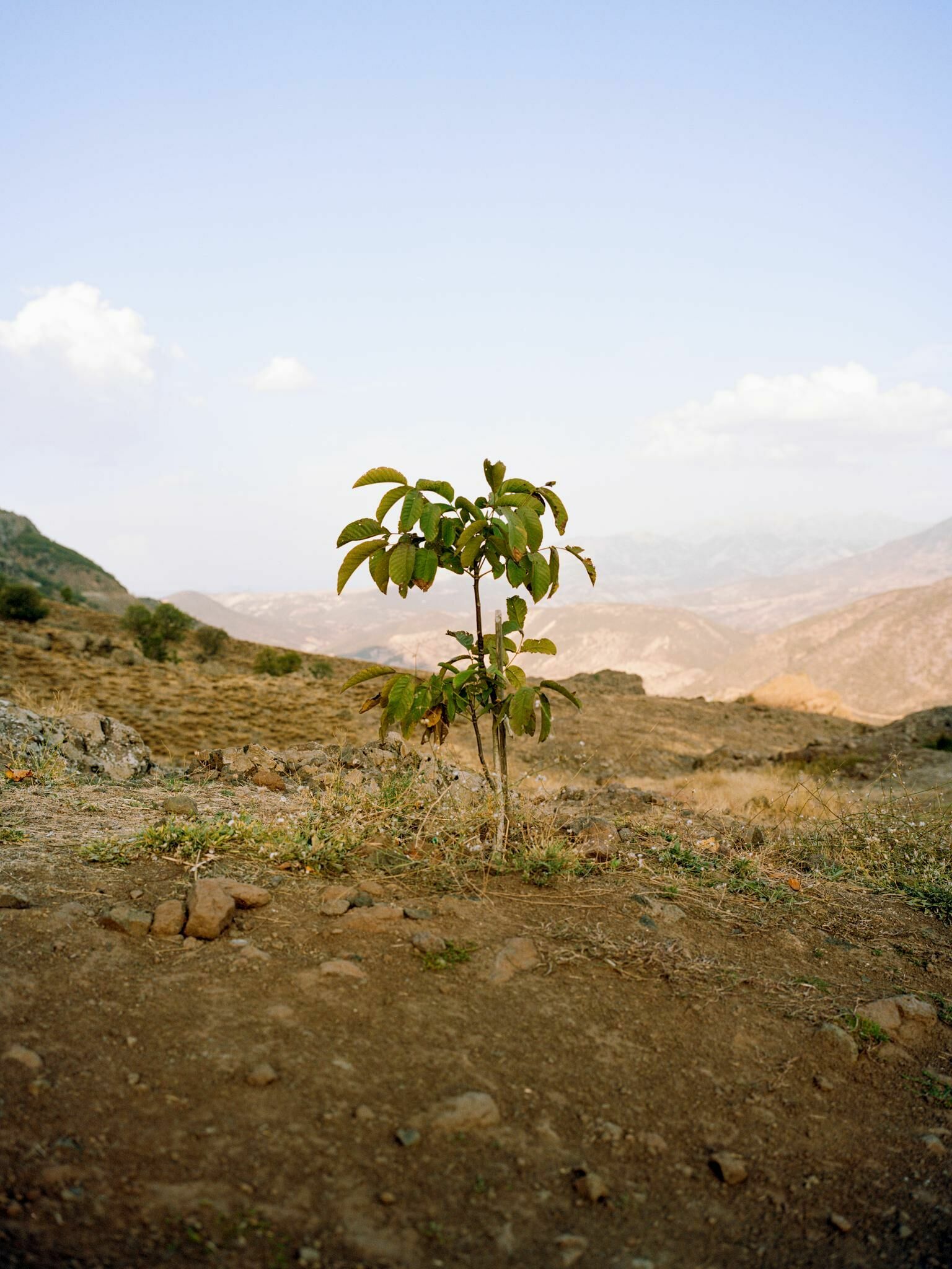 Gallery image of the project You don't look nothing alike