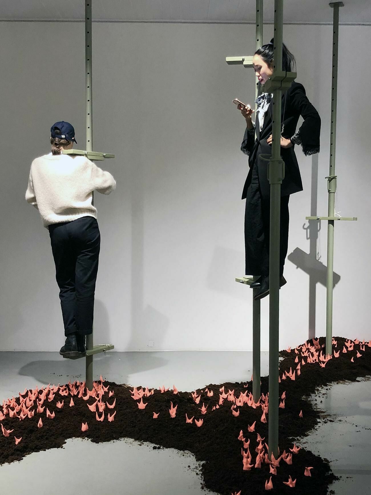 Gallery image of the project Walter Palmer Shot A Lion: The Sequel