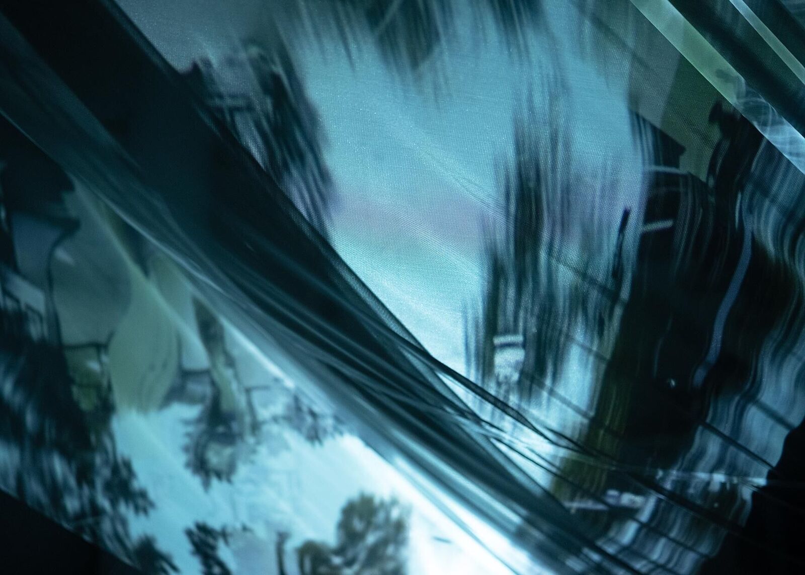 Gallery image of the project Crimson Sap Flowing Through My Veins