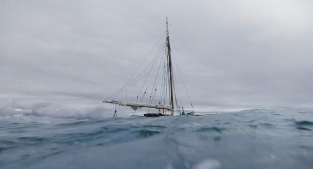 Cover image of the project Le Métèque