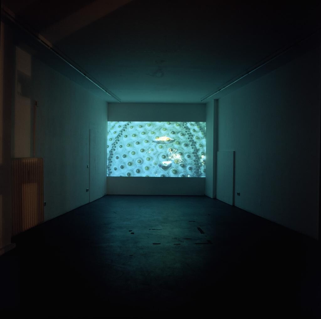 Gallery image of the project Abyssos 