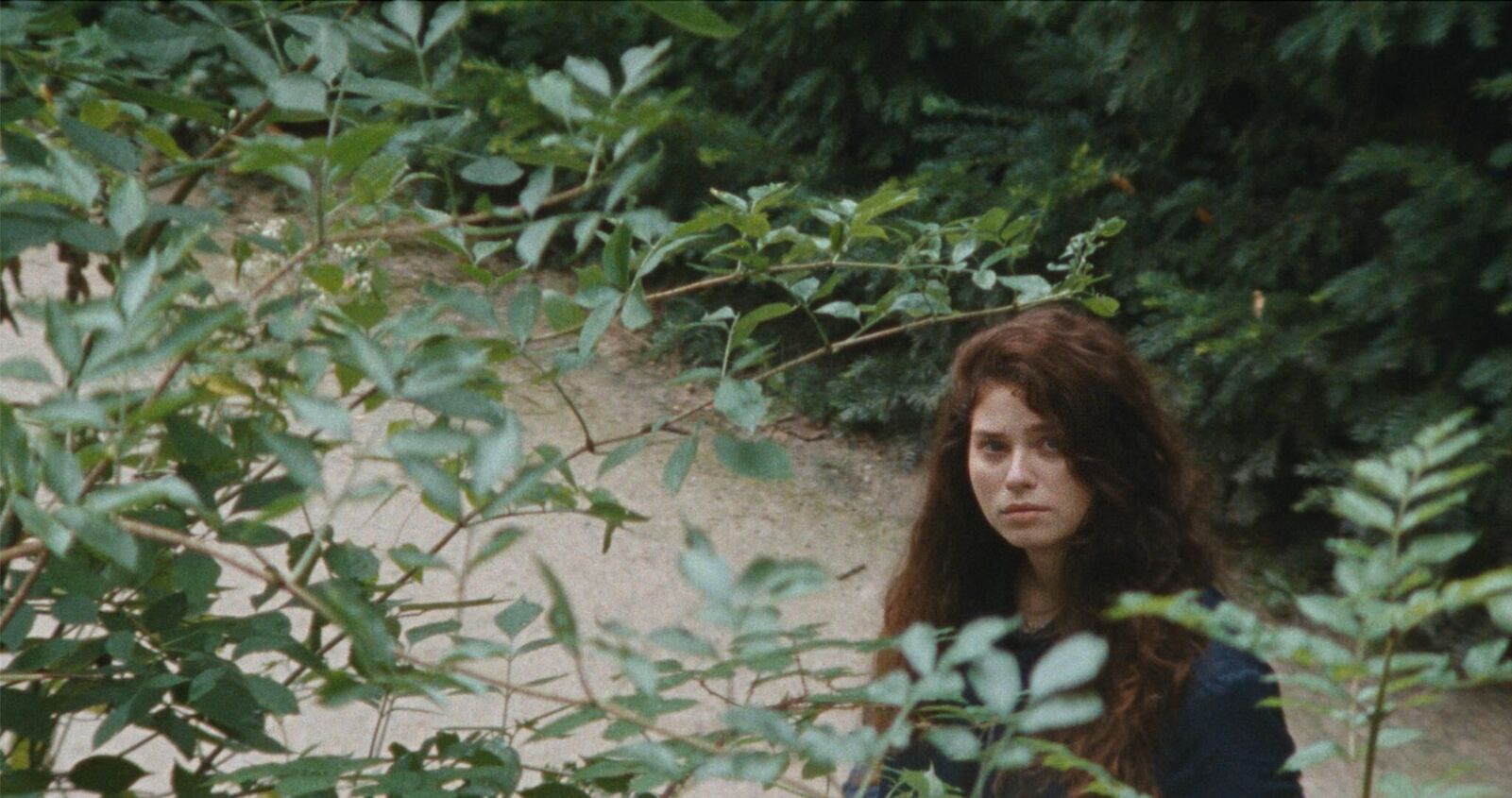 Cover image of the project Fish and Cheese