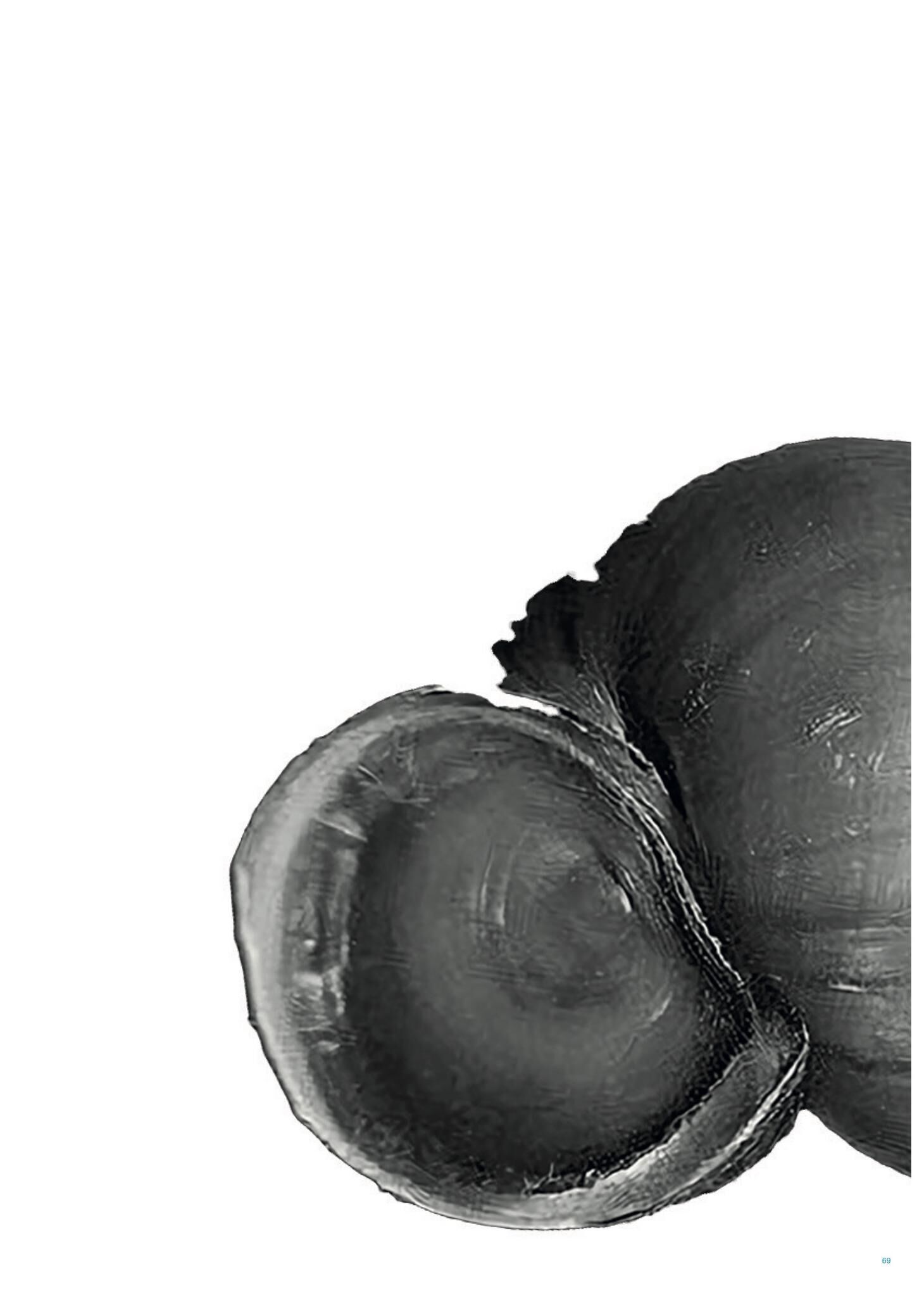 Gallery image of the project FALSE SPRING