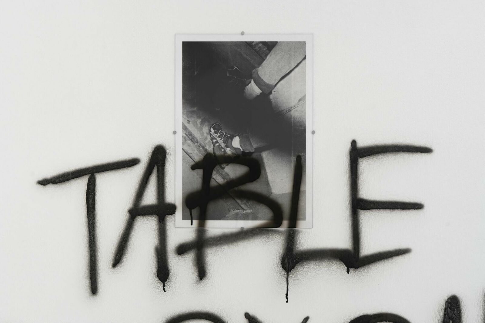 Gallery image of the project what’s on the table belongs to everyone