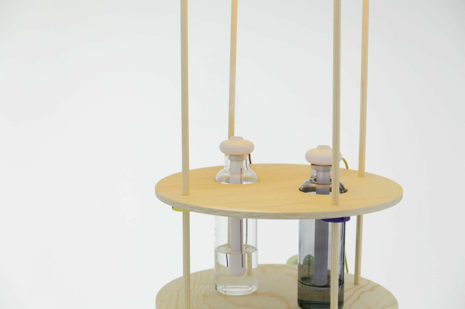 Gallery image of the project You bug me and I bug you