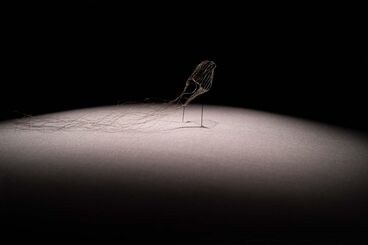 «Dann kommen ja die grünen Vögel nicht mehr wieder, wenn die Kastanien weg sind» Gallery image of the project «Dann kommen ja die grünen Vögel nicht mehr wieder, wenn die Kastanien weg sind»