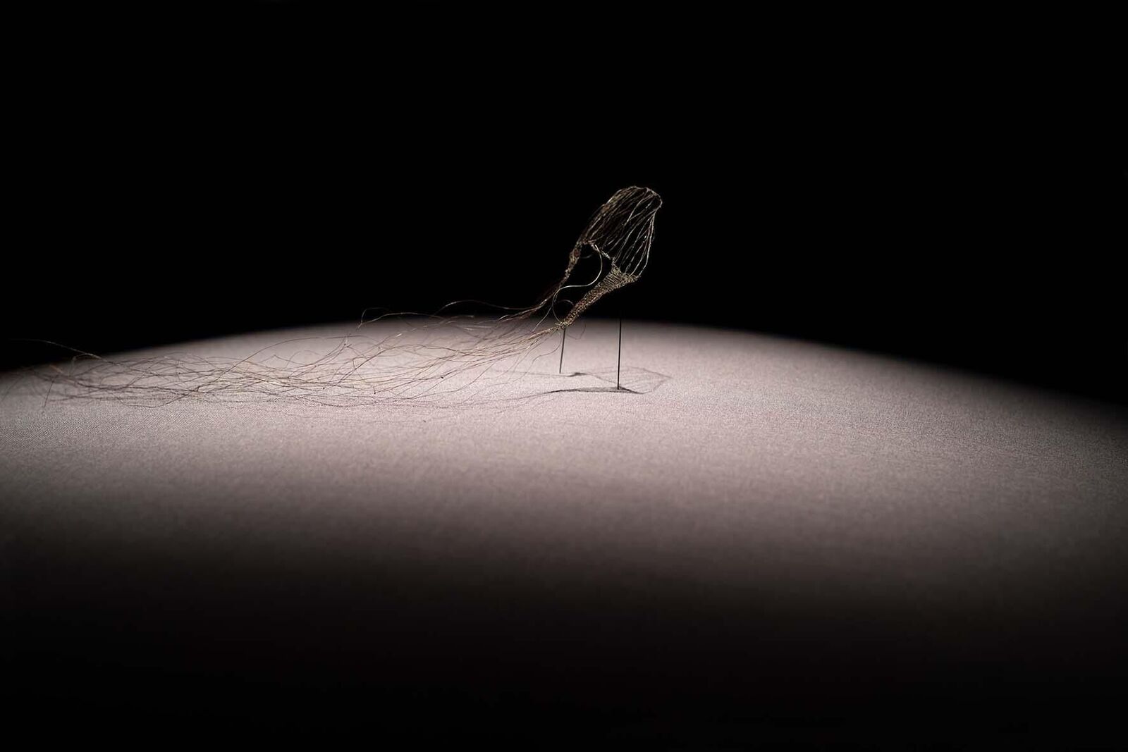 Gallery image of the project «Dann kommen ja die grünen Vögel nicht mehr wieder, wenn die Kastanien weg sind»