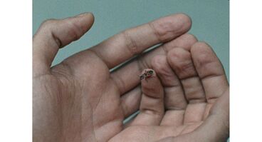 Cover image of the project Residuum