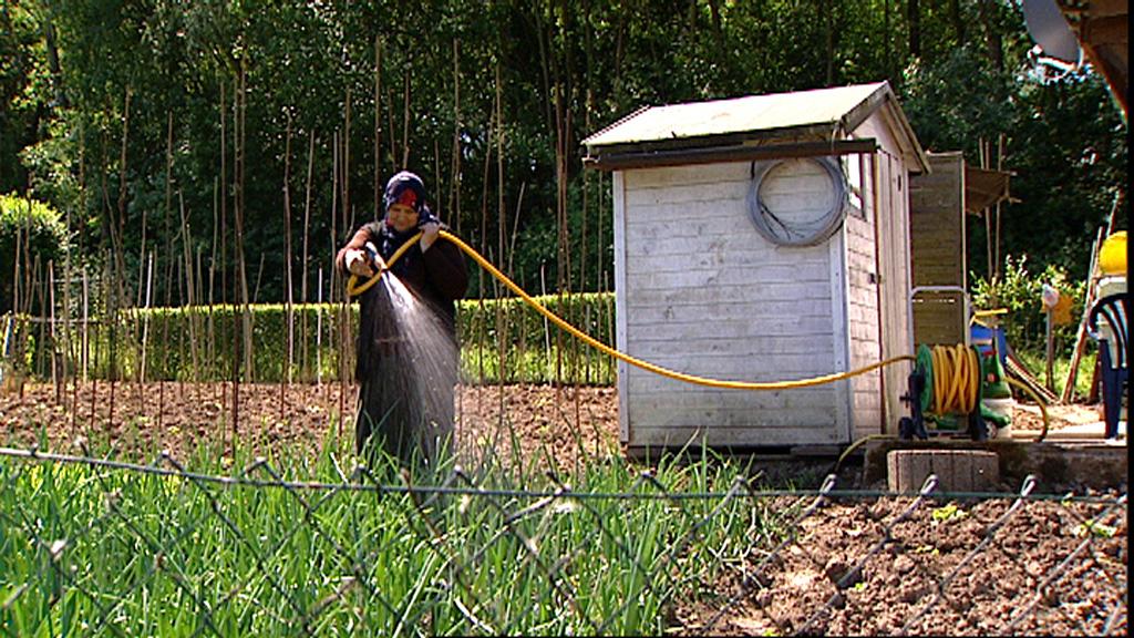 Cover image of the project Ali sein Garten