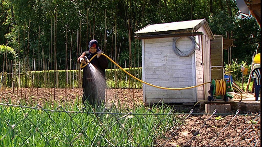 Cover image of the project Ali sein Garten