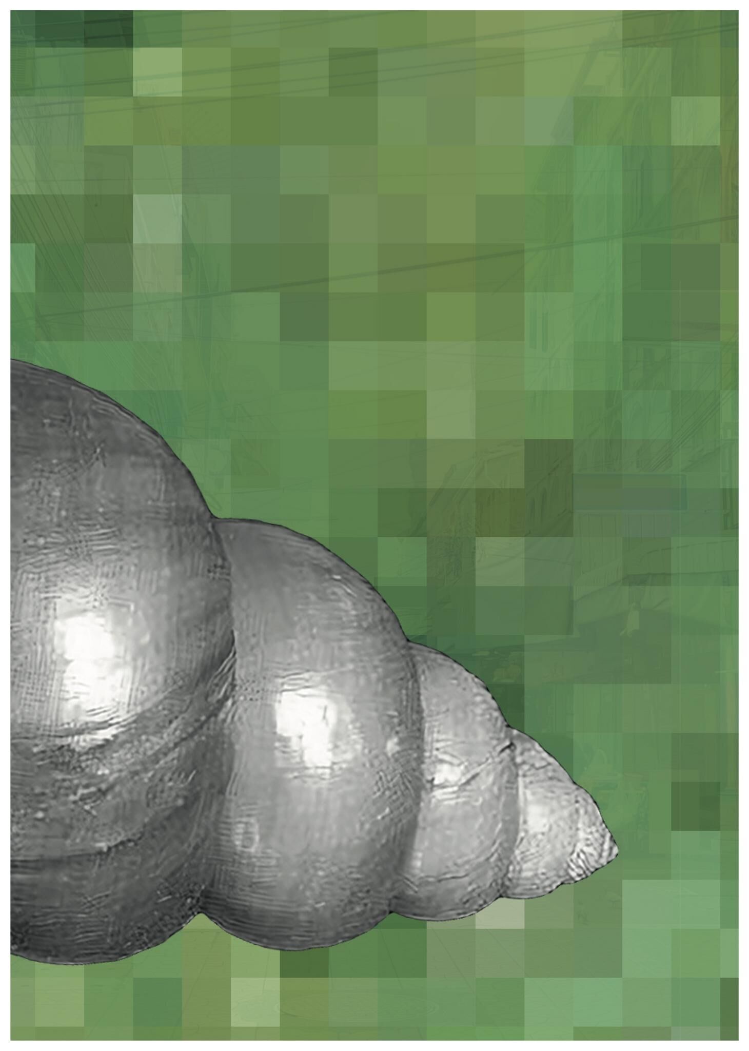 Gallery image of the project FALSE SPRING