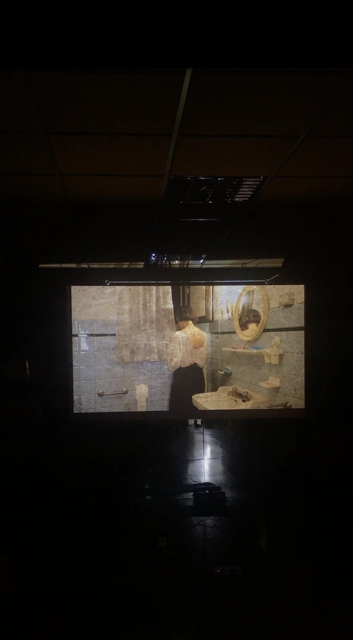 Cover image of the project PORCELLAIN