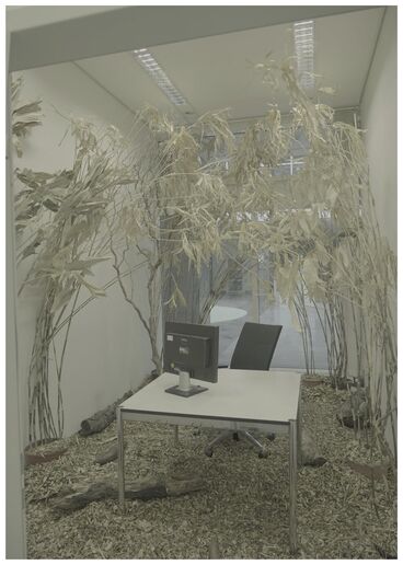 FALSE SPRING Gallery image of the project FALSE SPRING