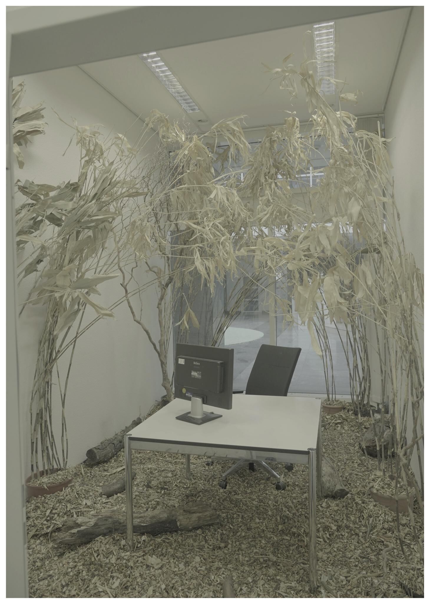 Gallery image of the project FALSE SPRING