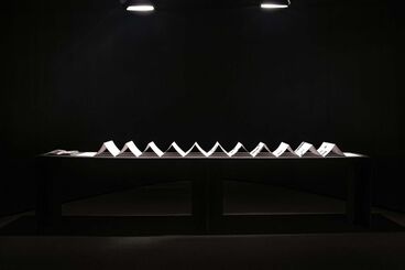 «Dann kommen ja die grünen Vögel nicht mehr wieder, wenn die Kastanien weg sind» Gallery image of the project «Dann kommen ja die grünen Vögel nicht mehr wieder, wenn die Kastanien weg sind»