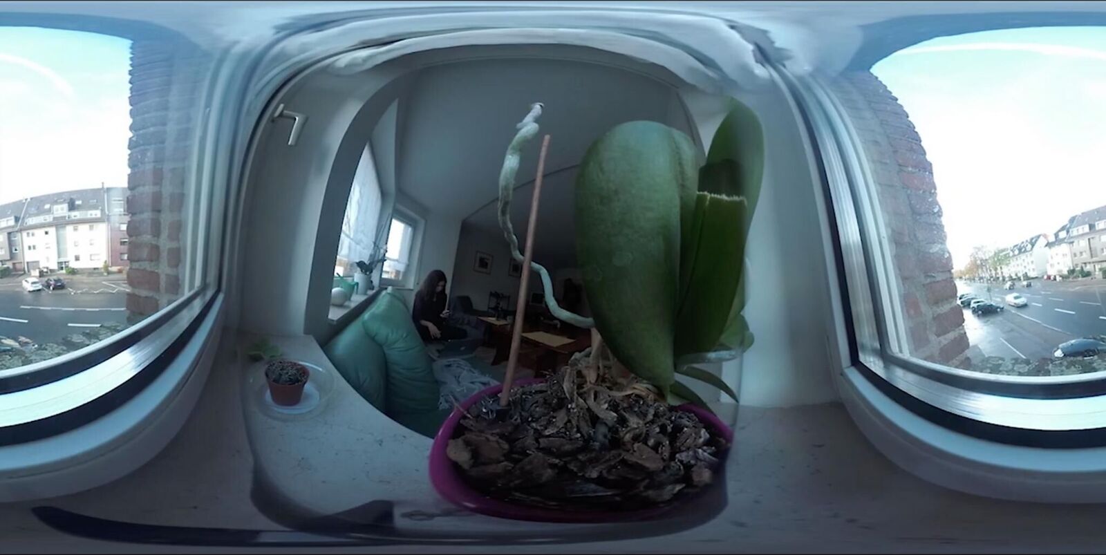Gallery image of the project Never home alone