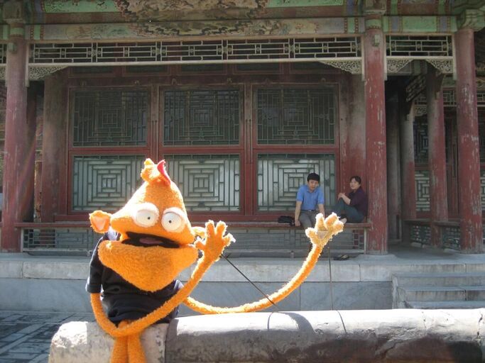 Cover image of the project Dizzy D in Beijing
