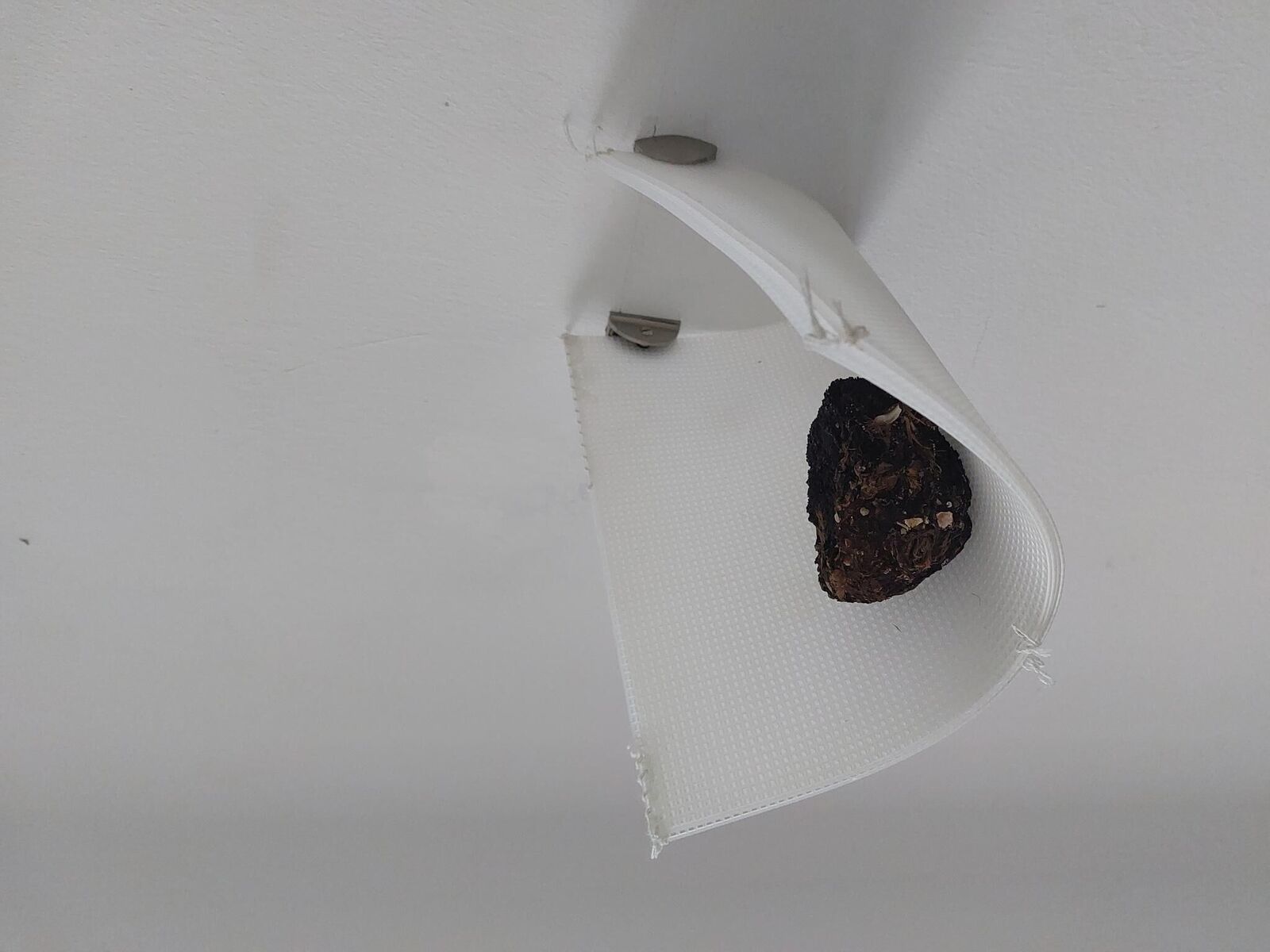 Gallery image of the project free immersion notes