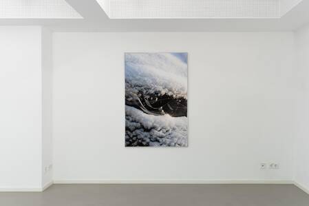 © Zhilei Zhou ; ©KHM