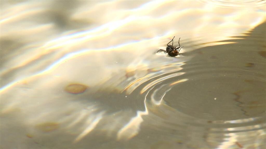 Gallery image of the project Palomafuente 