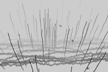 Gallery image of the project The Invisible Warbler