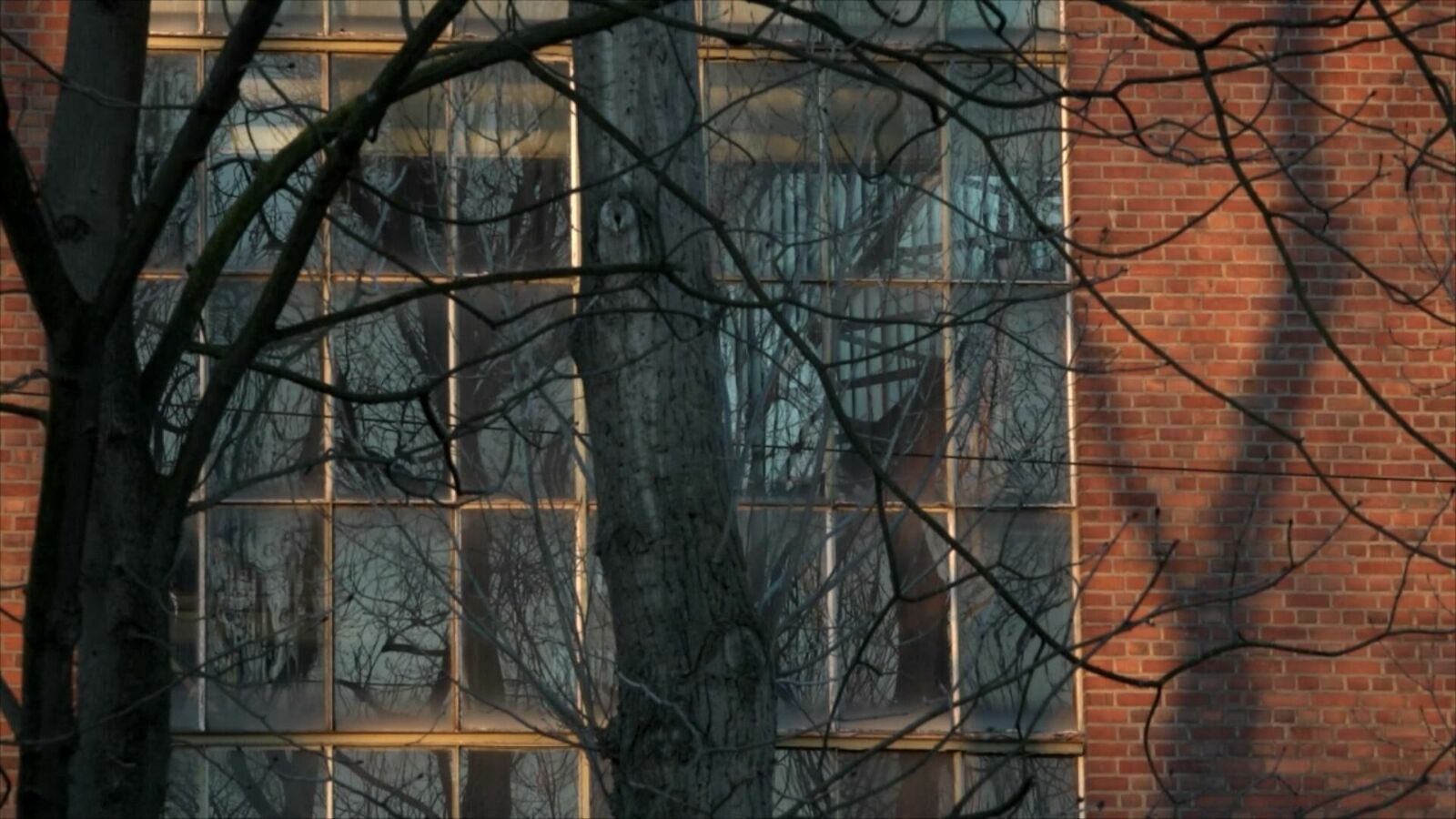 Cover image of the project Dirt