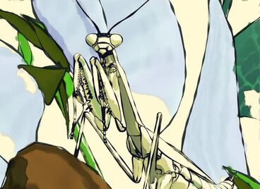 Mantis Gallery image of the project Mantis
