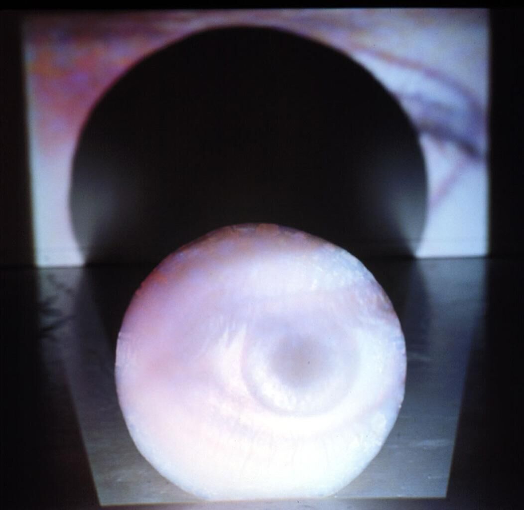 Cover image of the project Hybride Evavisionen #1