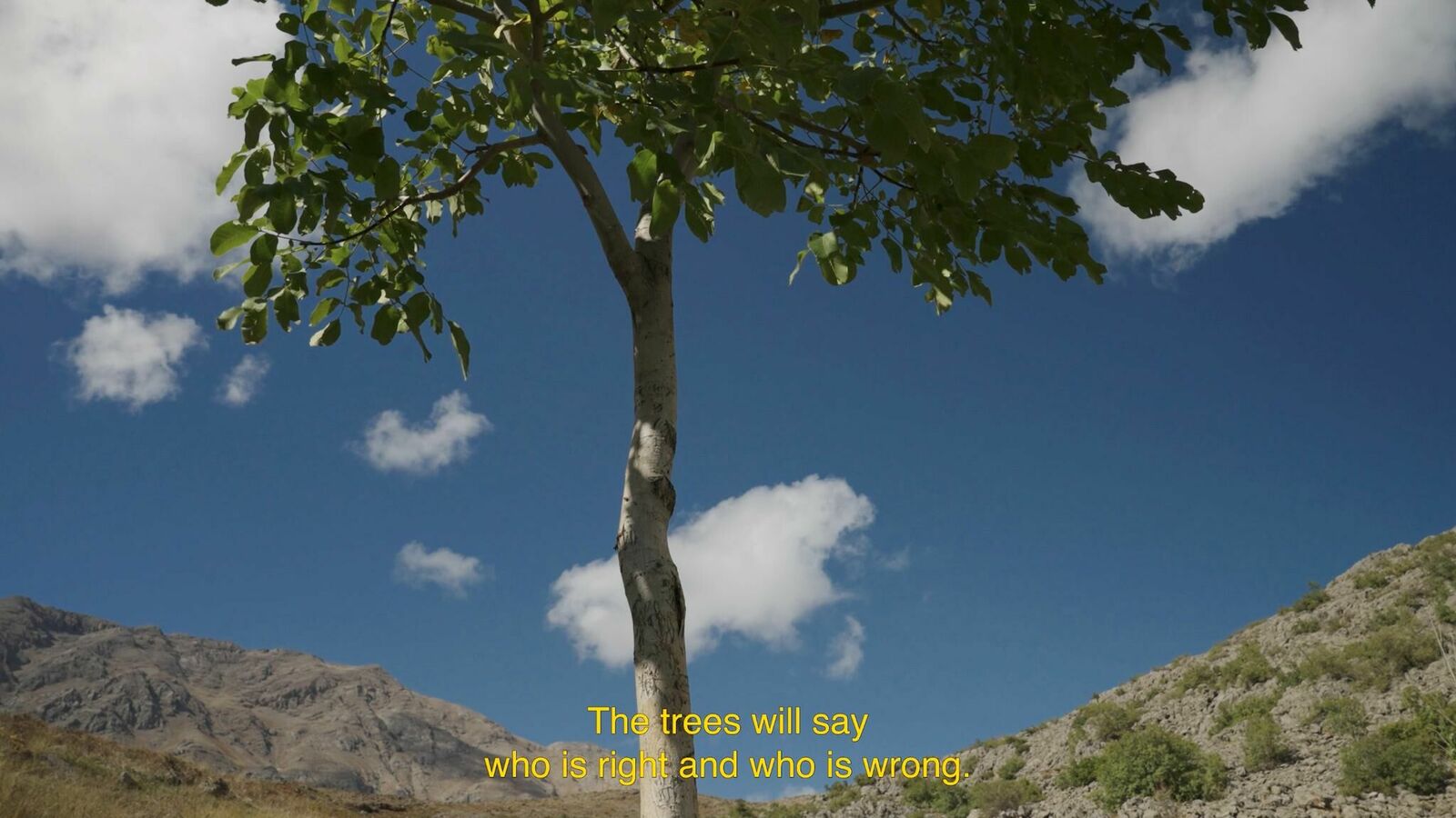 Gallery image of the project You don't look nothing alike