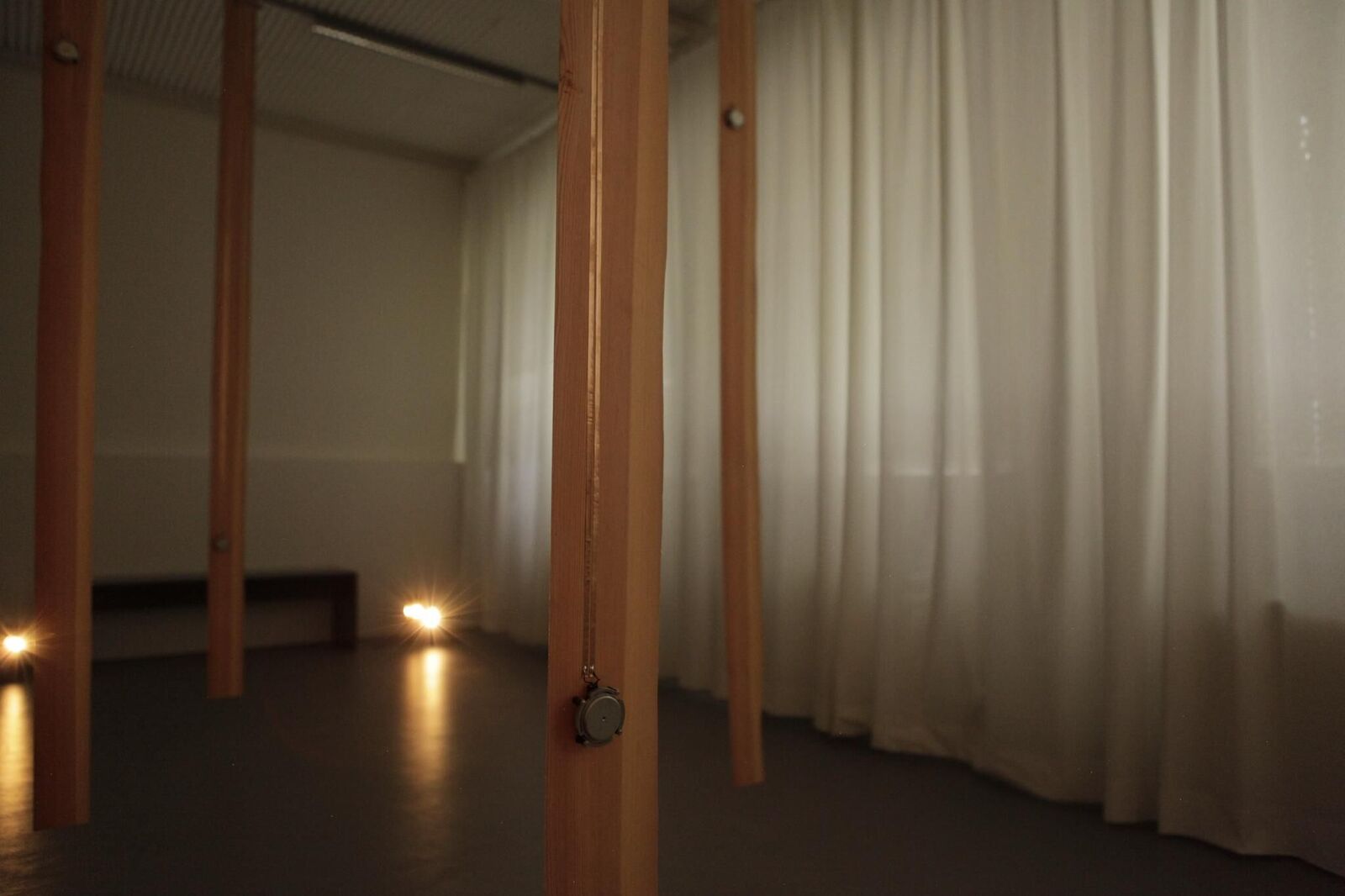 Gallery image of the project FOREST SCAPES I: KEREITA FOREST BLOCK