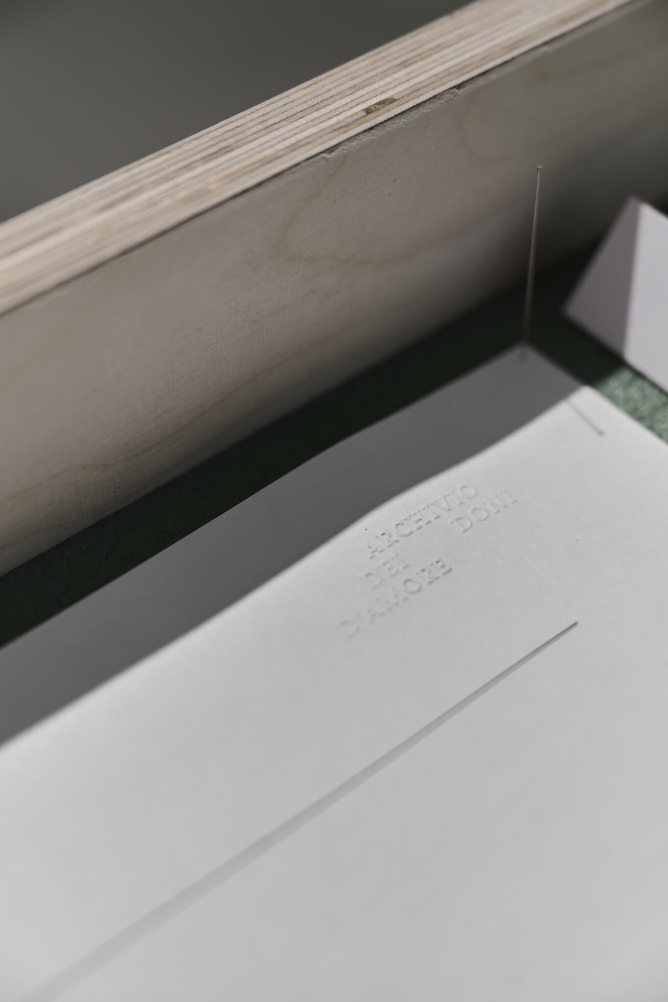 Gallery image of the project Archives & Butterflies