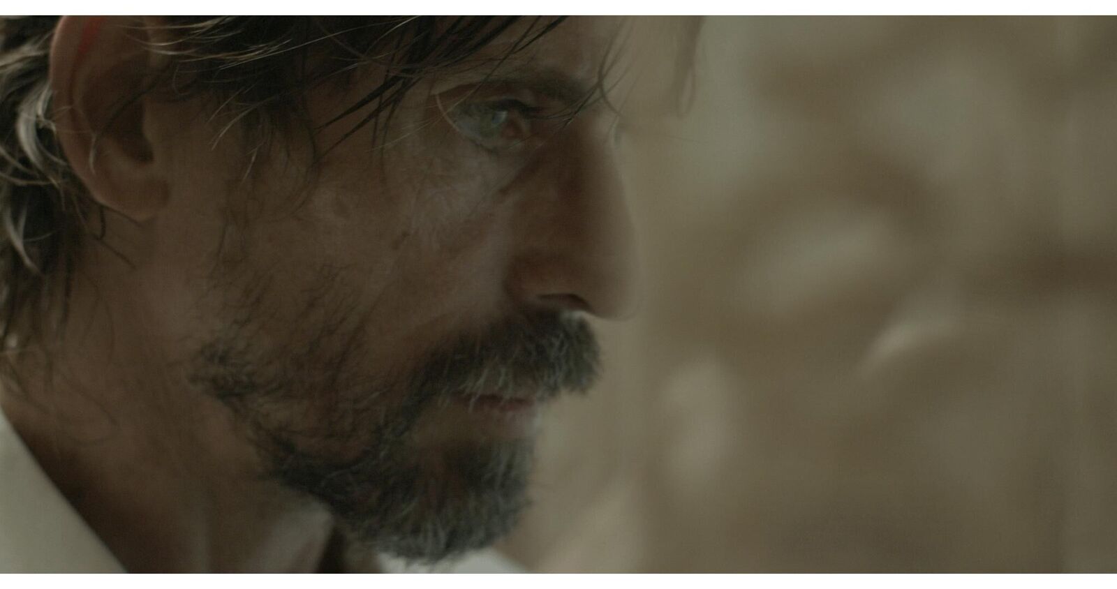 Gallery image of the project Into the Fog