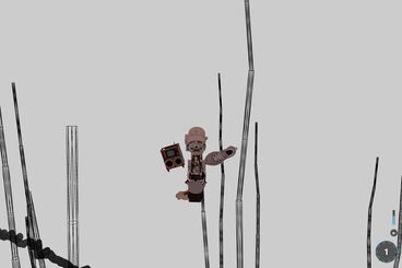 Gallery image of the project The Invisible Warbler