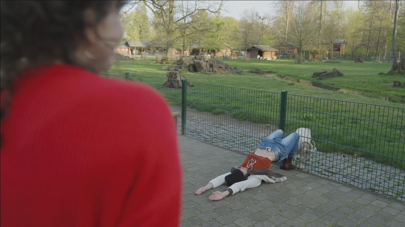 Gallery image of the project report null - Leben unter Zieg*innen