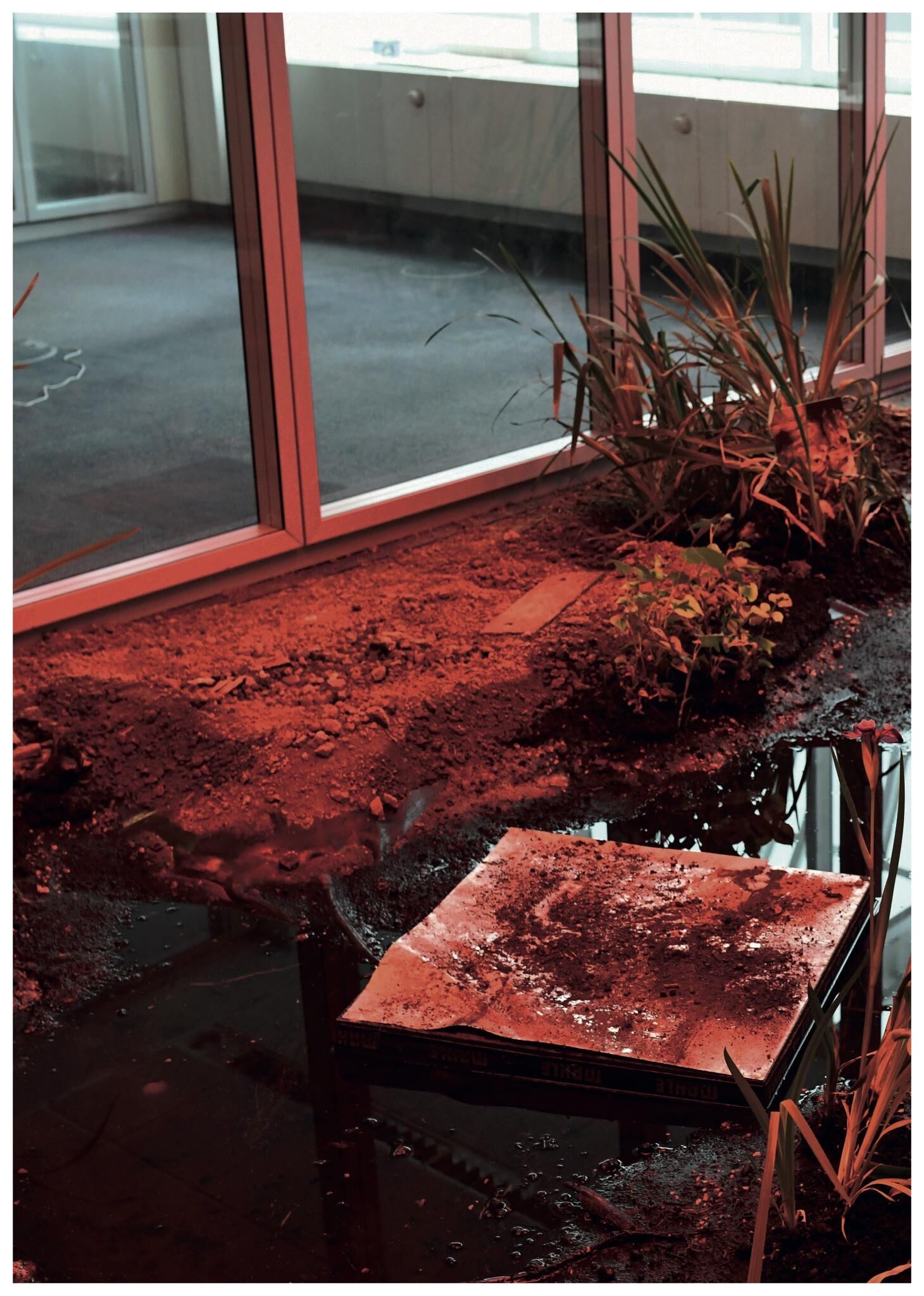 Gallery image of the project FALSE SPRING