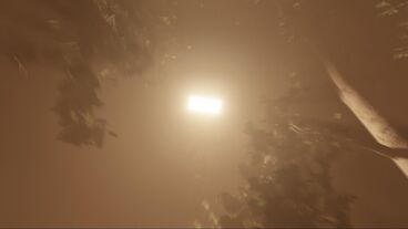 Im gelben Licht
