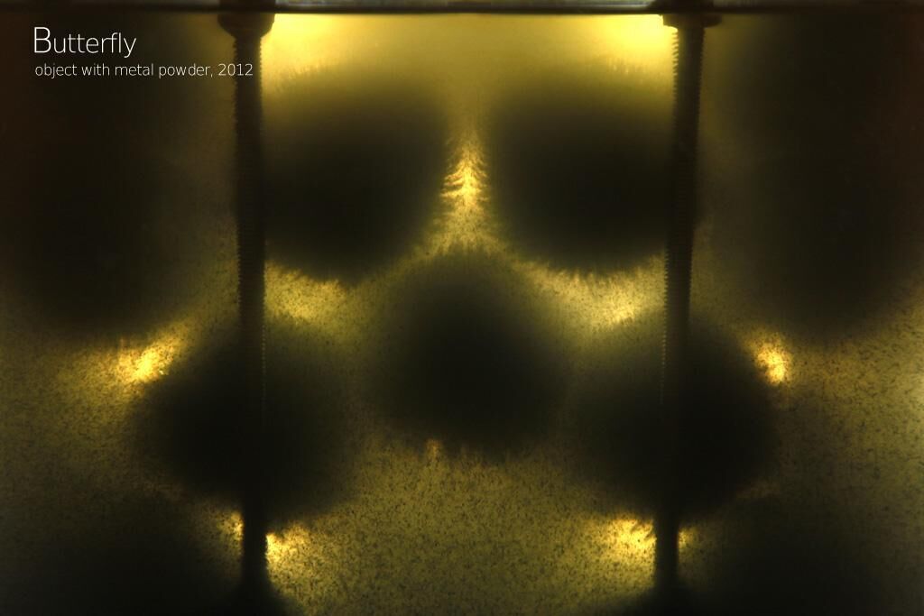 Gallery image of the project Butterfly