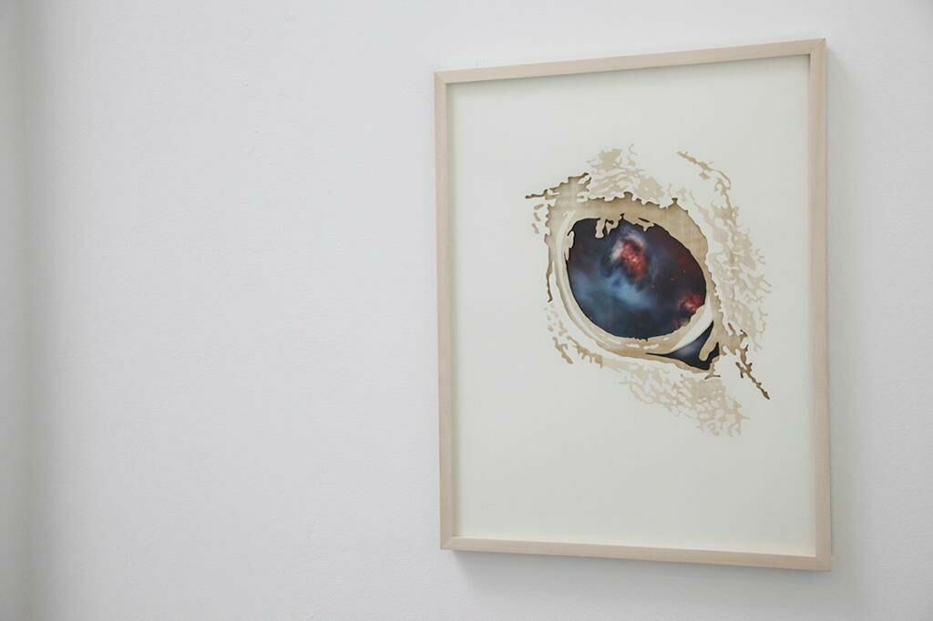 Gallery image of the project Horsey face