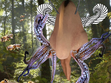 Corinna Duschl, potnia is looking for mushrooms