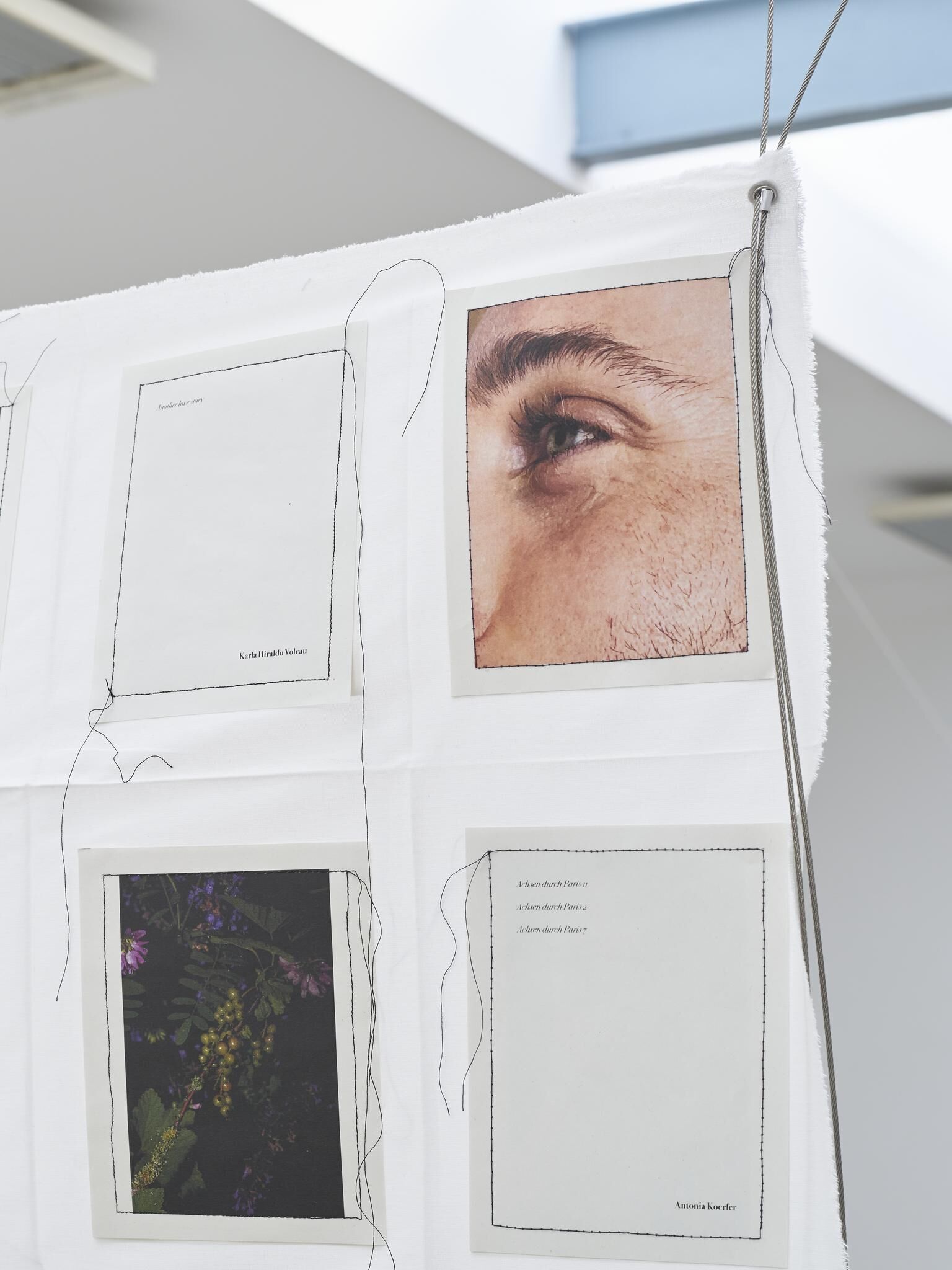 Gallery image of the project IN MY HANDS - Issue 7 - An den Spitzen nur Wurzeln