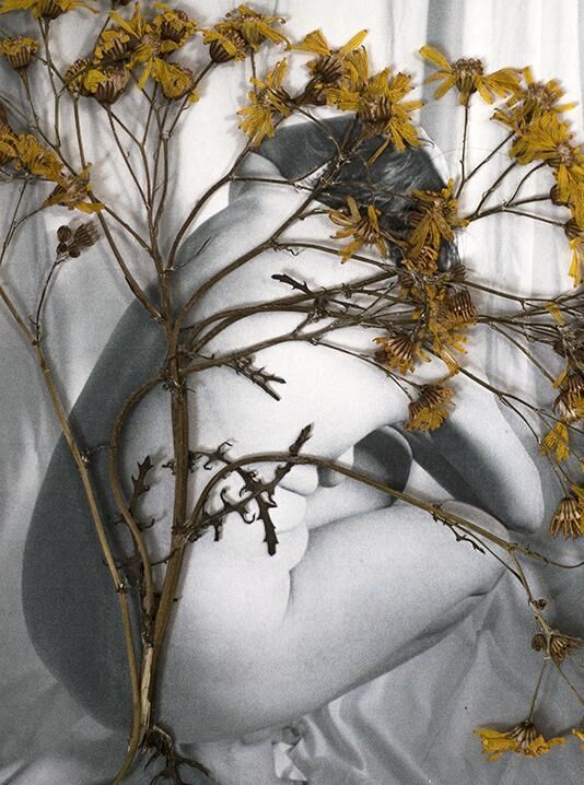 Cover image of the project “Dear Camera...“