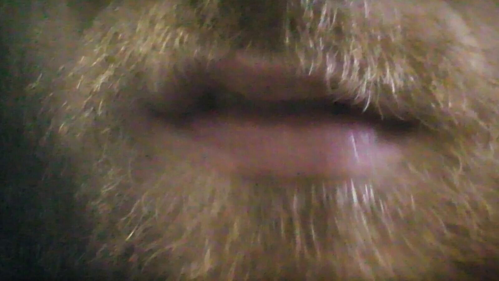 Gallery image of the project Bitte nicht kotzen