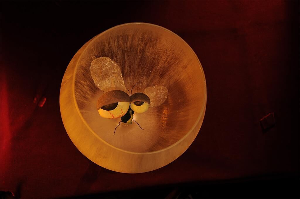 Gallery image of the project Fly in the soup