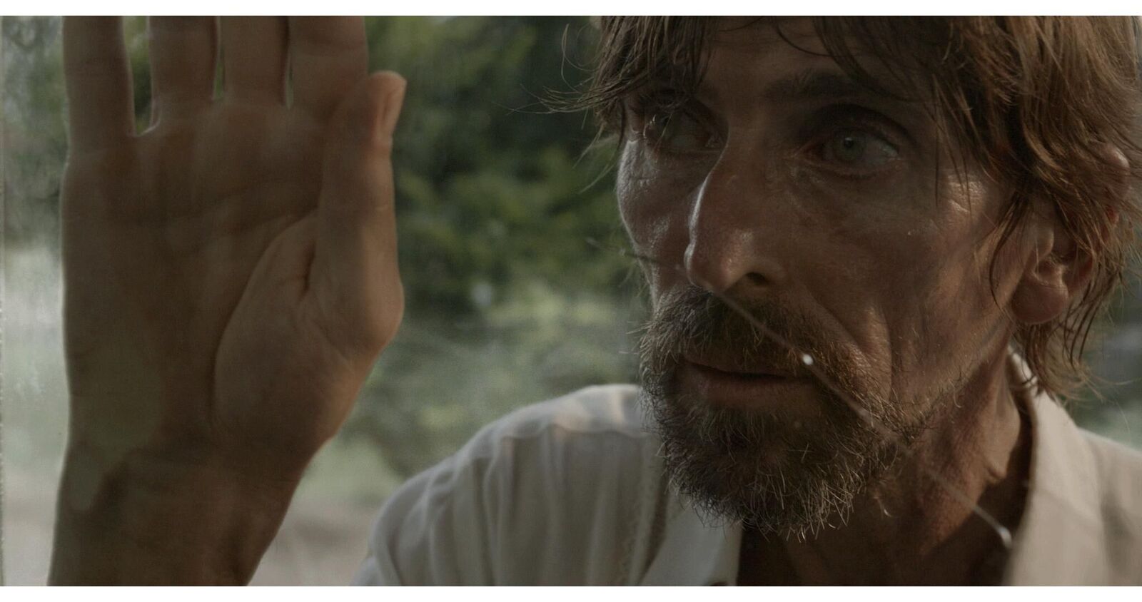 Gallery image of the project Into the Fog