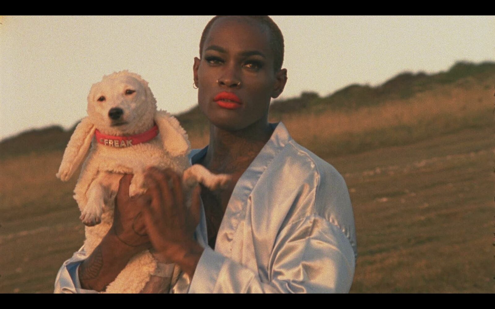 Cover image of the project PARADISE 3000 