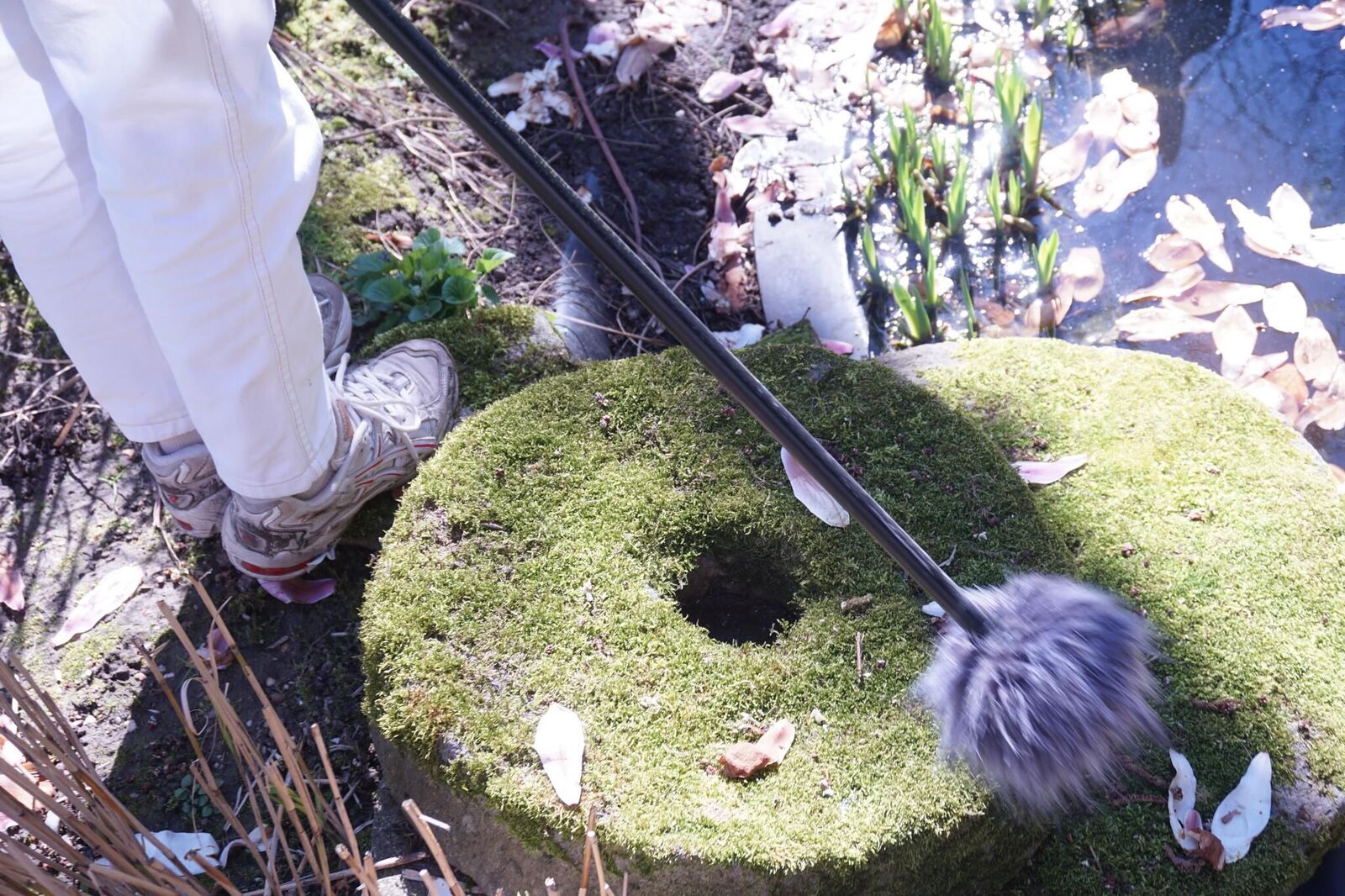 Gallery image of the project Eine Flur Tour 